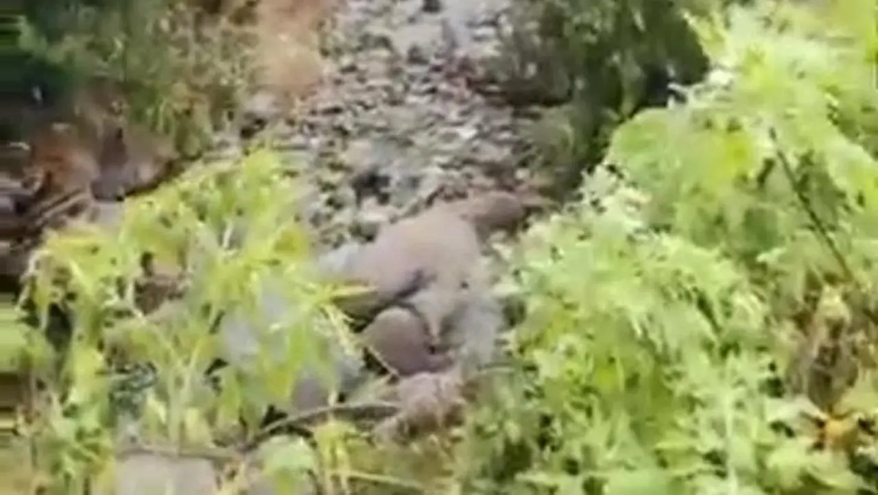 Fenomena Air Sungai ‘Menghilang’ di Tanah Datar, Badan Geologi Ungkap Penyebab Alamiah