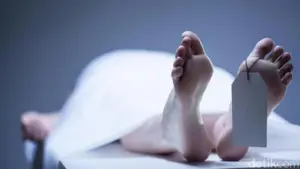 Guru Asal Jaksel Tewas di Gunung Putri, Polisi Kantongi Identitas Pelaku