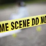 Pohon Besar Tumbang di Jalan Gunawarman Jaksel Akibat Angin Kencang, Nihil Korban Jiwa