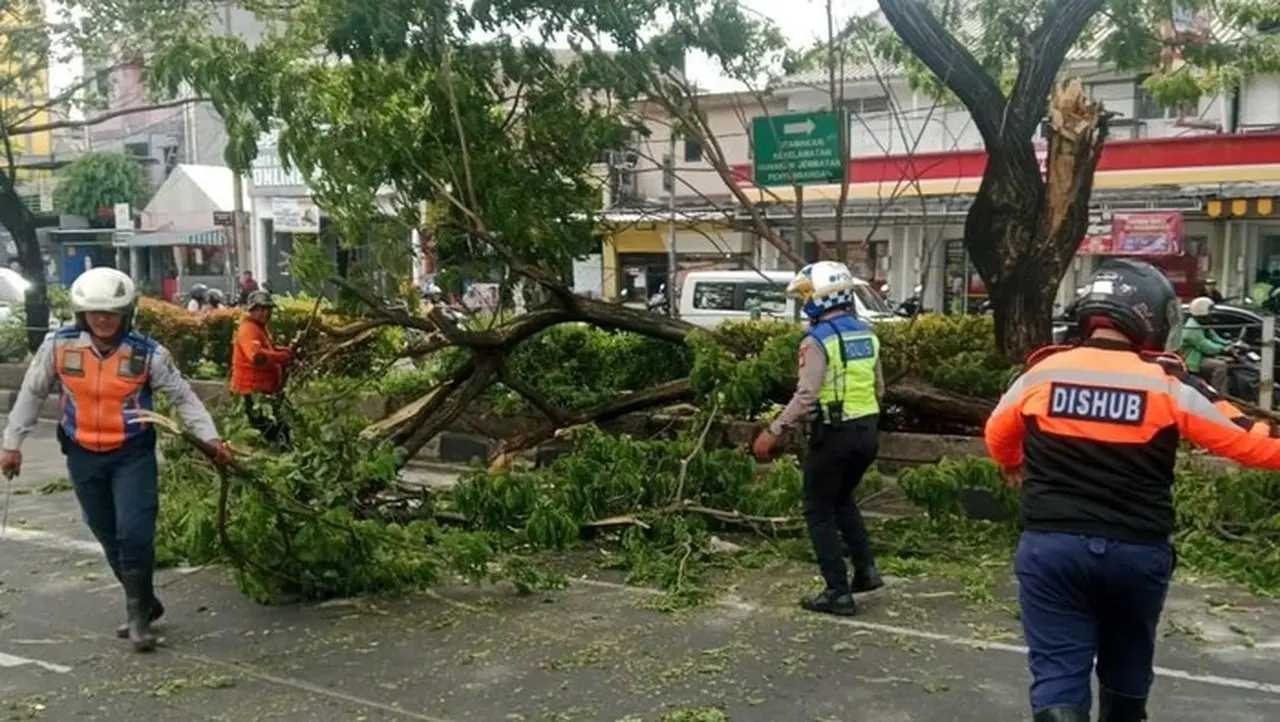 Pohon Tumbang Timpa Mobil di Margonda Depok Akibat Angin Kencang
