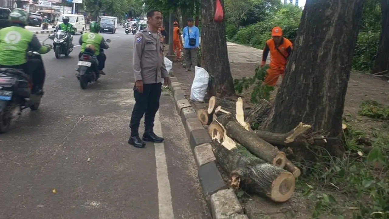Pohon Tumbang di Cilandak Timpa Pengendara Motor dan Mobil, Dua Luka-luka