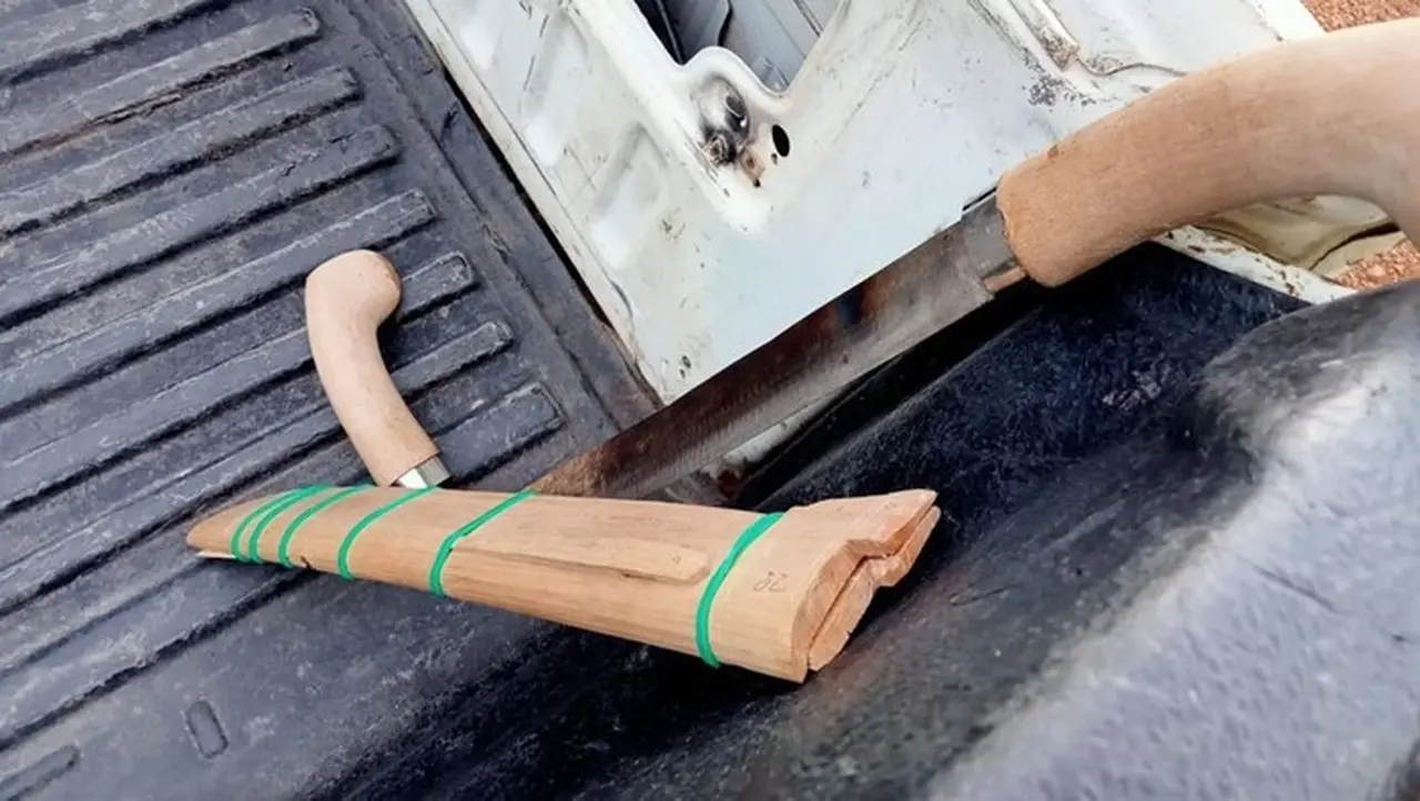 Belasan WNA China Bawa Sajam dan Airsoft Gun, Rusuh di Perusahaan Tambang Emas Ketapang