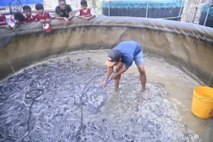 BNPT Kembangkan Budidaya Lele Bioflok di Cirebon untuk Perkuat Ketahanan Desa