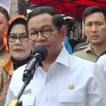 Antisipasi Angin Kencang, Gubernur DKI Jakarta Perintahkan Pemangkasan Pohon Tua