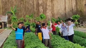 Lahan Bekas Tambang Cilegon Disulap Jadi Pertanian Terpadu dan Hutan Tanaman Energi