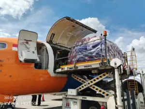 Kemensos Salurkan Bantuan Logistik Korban Banjir Aceh Melalui Jalur Udara ke Tiga Kabupaten