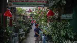 LDII Jakarta dan Dinas KPKP Jajaki Kolaborasi Perkuat Ketahanan Pangan Lewat Urban Farming