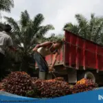 BEI Resmi Suspensi Saham Bakrie Sumatera Plantations (UNSP) Imbas Lonjakan Harga Fantastis
