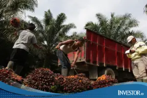 BEI Resmi Suspensi Saham Bakrie Sumatera Plantations (UNSP) Imbas Lonjakan Harga Fantastis