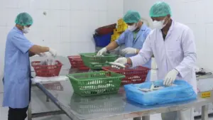 Kementerian UMKM Perluas Program Holding, Targetkan Lima Klaster Strategis di 2026