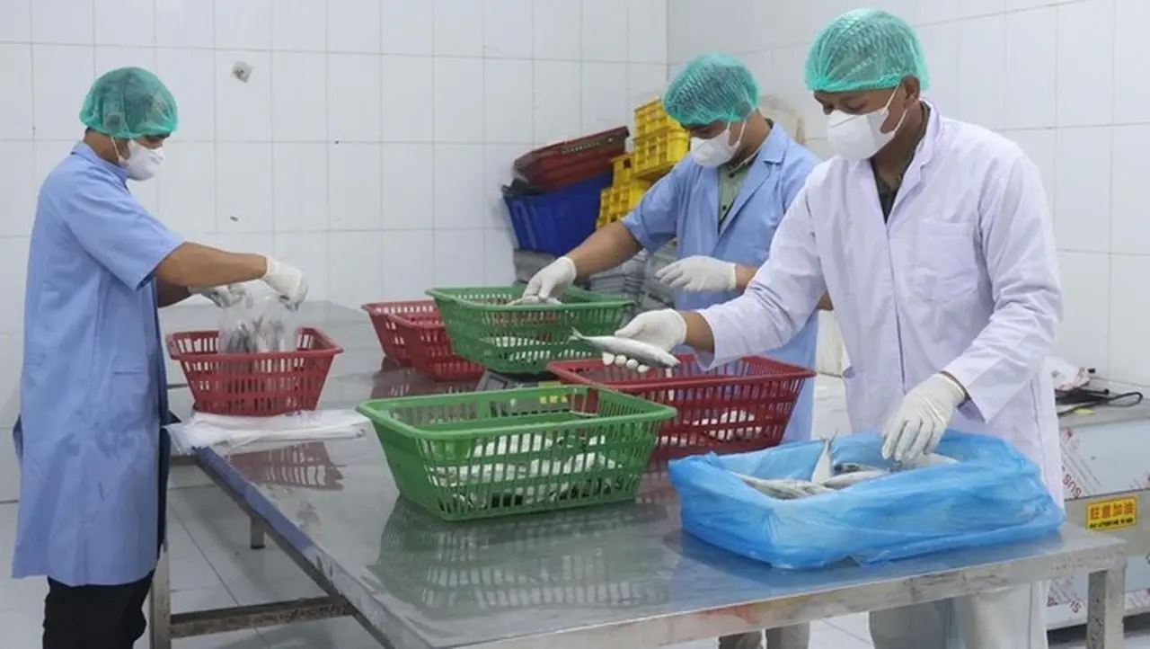 Kementerian UMKM Perluas Program Holding, Targetkan Lima Klaster Strategis di 2026 Kementerian UMKM Perluas Program Holding, Targetkan Lima Klaster Strategis di 2026