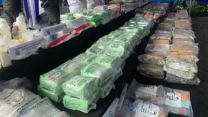 BNN Bongkar 10 Jaringan Narkoba Lintas Wilayah, Termasuk Pengiriman Ganja dari Amerika Serikat
