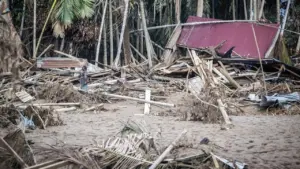 BRIN Kerahkan Drone Canggih Berkemampuan Deteksi Jasad di Bawah Tanah untuk Bencana Sumatera