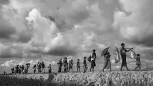 Menggali Makna Hari Migran Internasional 2025: Peran Vital Migran dalam Budaya dan Pembangunan Global