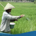 Pupuk Indonesia Pastikan Kesiapan Produksi untuk Alokasi Pupuk Bersubsidi 2026