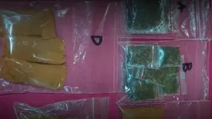 Polsek Grogol Petamburan Amankan Dua Pengedar Narkoba, Sita 40,23 Gram Tembakau Gorilla