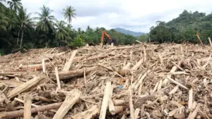 Kapolri: “Penyidikan Kasus Kayu Gelondongan di Sumut, Satu Korporasi Naik Status”