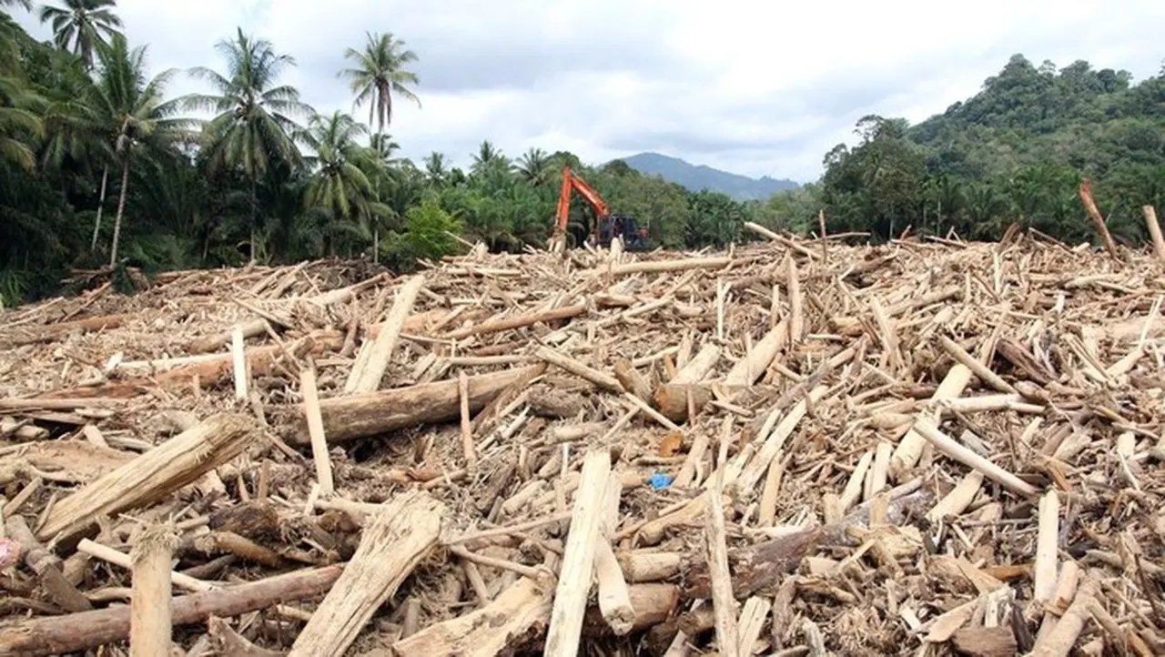 Kapolri: “Penyidikan Kasus Kayu Gelondongan di Sumut, Satu Korporasi Naik Status”