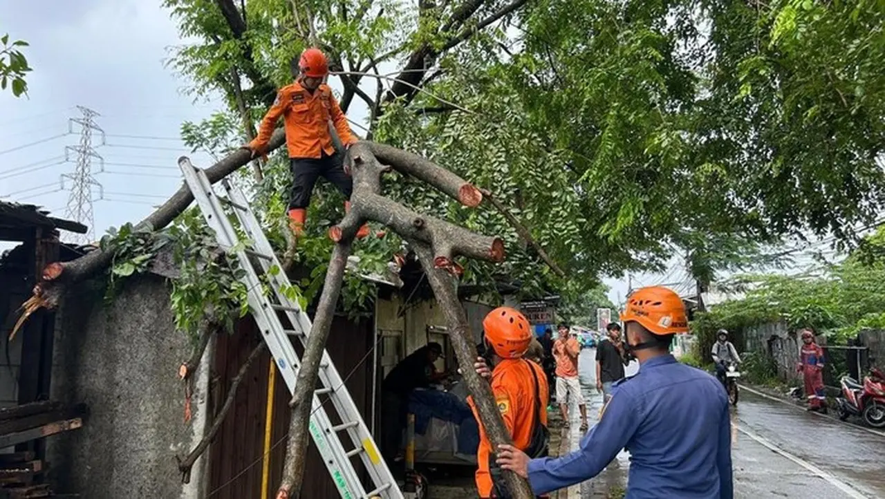 Pohon Tumbang Timpa Warung dan Tutup Jalan Raya Pabuaran Bogor Akibat Hujan Angin Kencang