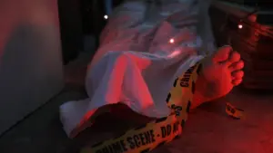 Anak Kandung Bunuh Dosen USU di Medan, Polisi Ungkap Motif Kesal Ayah Aniaya Ibu