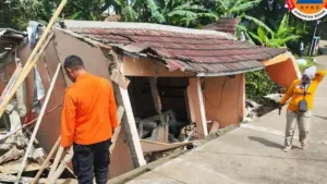 Hujan Deras dan Angin Kencang Terjang Bogor, Pohon Tumbang dan Rumah Ambruk, Satu Warga Terluka