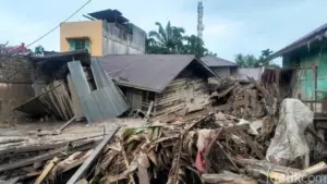 Banjir Aceh Tamiang: Warga Berenang Cari Roti Hanyut Demi Bertahan Hidup