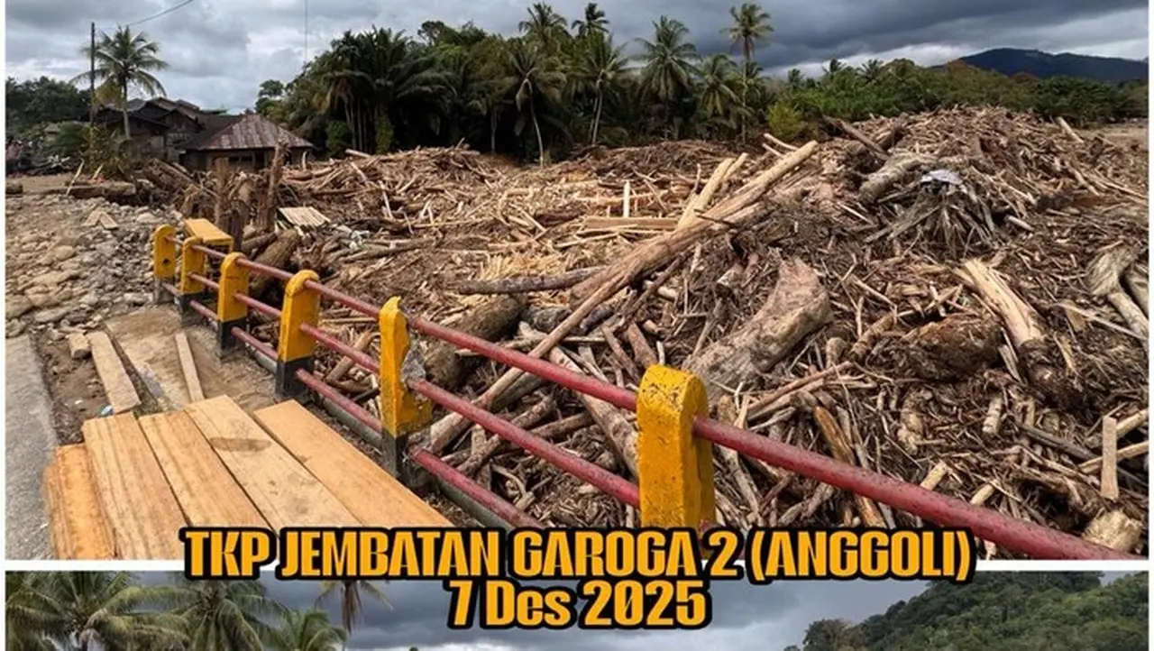 Banjir Landa Tapanuli Utara dan Tengah, Gelondongan Kayu Naik Status Penyidikan