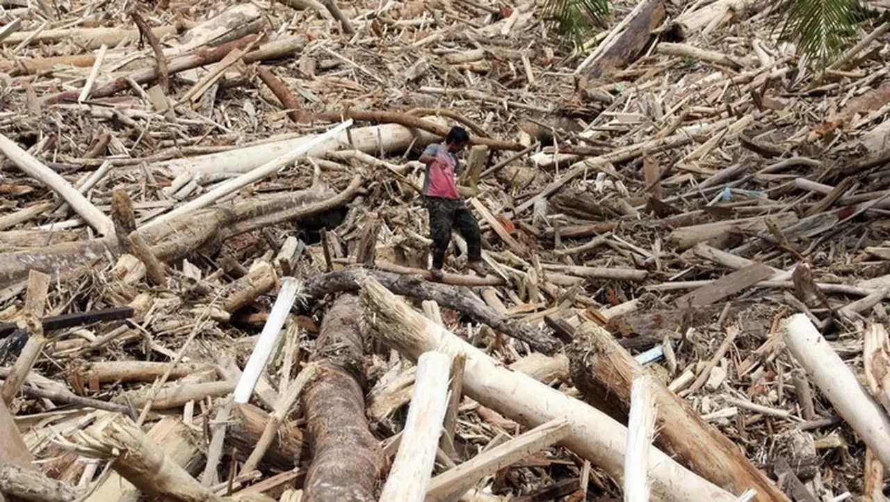 Bareskrim Polri Kejar Perusak Hutan di Garoga-Anggoli Terkait Gelondongan Kayu
