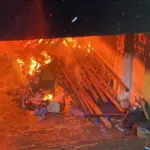 Basement Pesantren Al Mawaddah di Jagakarsa Terbakar, 9 Unit Damkar Dikerahkan