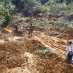 Bencana Sumatera: 969 Tewas, Ribuan Mengungsi, Kerusakan Meluas di 52 Kabupaten/Kota