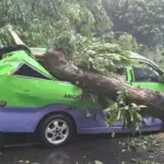 BPBD Bogor Catat 917 Bencana Sejak Januari, 6 Tewas Akibat Longsor dan Pohon Tumbang