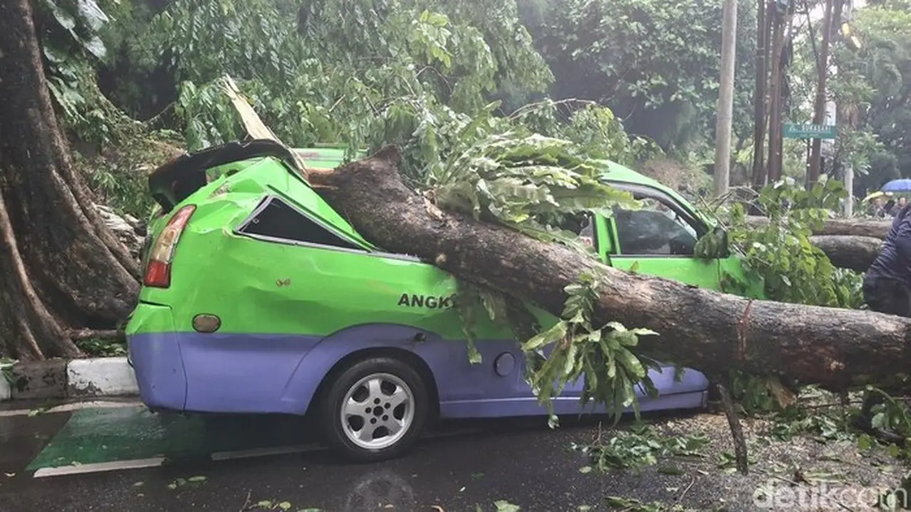 BPBD Bogor Catat 917 Bencana Sejak Januari, 6 Tewas Akibat Longsor dan Pohon Tumbang