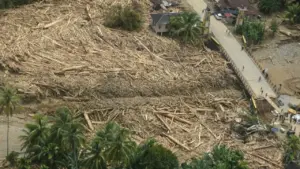 Bareskrim Naikkan Kasus Kayu Gelondongan Banjir Tapanuli ke Penyidikan, 3 Alat Berat Ditemukan