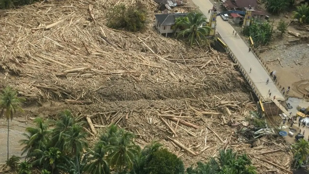 Bareskrim Naikkan Kasus Kayu Gelondongan Banjir Tapanuli ke Penyidikan, 3 Alat Berat Ditemukan