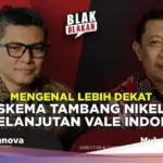 Vale Indonesia: Komitmen Tambang Nikel Berkelanjutan Demi Lingkungan Jernih dan Kehidupan Lebih Baik