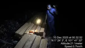 Polda Riau Bongkar Pembalakan Liar di Bengkalis, Tiga Pelaku Ditangkap