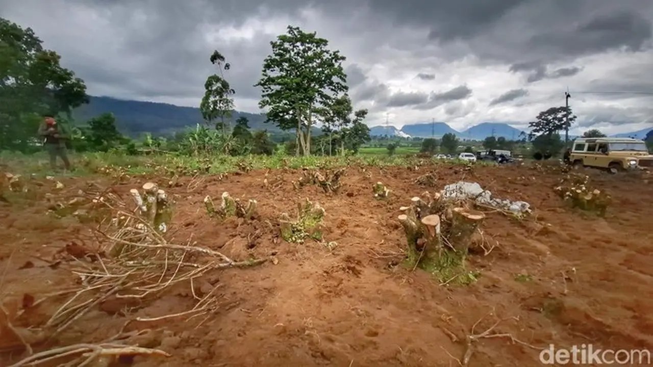 Polda Jabar Tetapkan 6 Tersangka Perusakan Kebun Teh PTPN di Pangalengan, Ada Mandor dan Pemodal