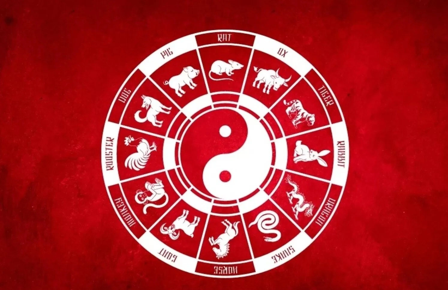 Terkait Finansial, Ramalan Shio Hari Ini Terbaru 18 Desember 2025