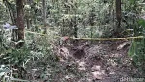 Pengacara Aris Munadi Ditemukan Tewas Dikubur di Hutan Cilacap, Diduga Korban Pembunuhan