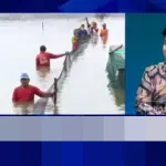 Indonesia Dorong Pengusaha Muda Masuk Bisnis Udang, Ekspor Komoditas Terus Meningkat