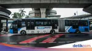 Insiden Rebutan Kursi TransJakarta Picu Perdebatan Etika, Pakar dan Manajemen Angkat Bicara