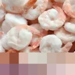 Ishartini: “KKP Perkuat Ekspor Udang ke AS dengan 17 Scanner Radioaktif Baru”