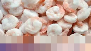 Ishartini: “KKP Perkuat Ekspor Udang ke AS dengan 17 Scanner Radioaktif Baru”