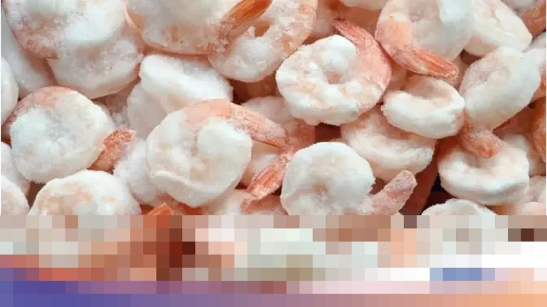 Ishartini: “KKP Perkuat Ekspor Udang ke AS dengan 17 Scanner Radioaktif Baru”