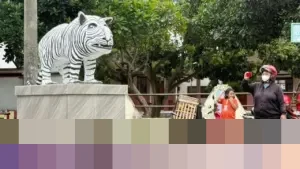 Kades Balongjeruk Safi’i Tegaskan: “Patung Macan Putih Viral Dibangun Pakai Dana Pribadi”