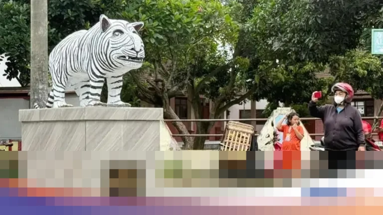 Kades Balongjeruk Safi’i Tegaskan: “Patung Macan Putih Viral Dibangun Pakai Dana Pribadi” Kades Balongjeruk Safi’i Tegaskan: “Patung Macan Putih Viral Dibangun Pakai Dana Pribadi”