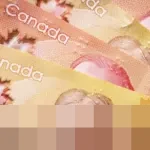 Kanada Kucurkan Bantuan Finansial 2,5 Miliar Dolar Kanada untuk Ukraina, Zelensky Lanjutkan Kunjungan