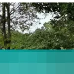 Kapolda Metro Jaya Tinjau Langsung Ragunan yang Dipadati Pengunjung Libur Natal dan Tahun Baru