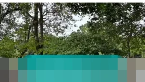 Kapolda Metro Jaya Tinjau Langsung Ragunan yang Dipadati Pengunjung Libur Natal dan Tahun Baru