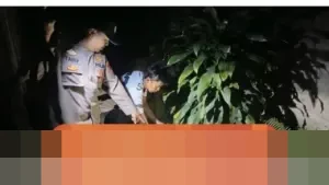 Kapolsek Sumberejo: “Bayi Ditemukan di Lubang Bekas Septic Tank, Berhasil Diselamatkan”